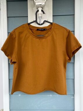 Carpetcom Cropped Crewneck Tee in Rust